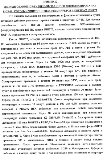 Связывающие протеины, специфичные по отношению к инсулин-подобным факторам роста, и их использование (патент 2492185)