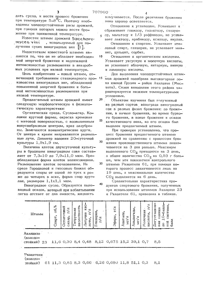Штамм дрожжей раса ахалцихе n 23,используемый для получения ординарных и марочных вин (патент 707960)