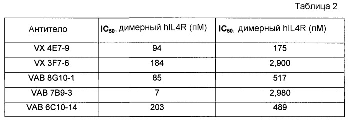 Высокоаффинные антитела человека к рецептору il-4 человека (патент 2445318)