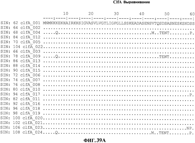 Стабильные иммуногенные композиции антигенов staphylococcus aureus (патент 2570730)