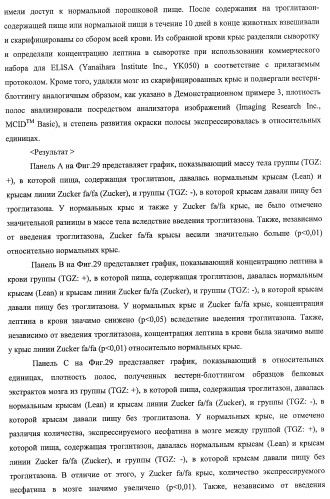 Способ получения фактора, связанного с контролем над потреблением пищи и/или массой тела, полипептид, обладающий активностью подавления потребления пищи и/или прибавления в весе, молекула нуклеиновой кислоты, кодирующая полипептид, способы и применение полипептида (патент 2418002)