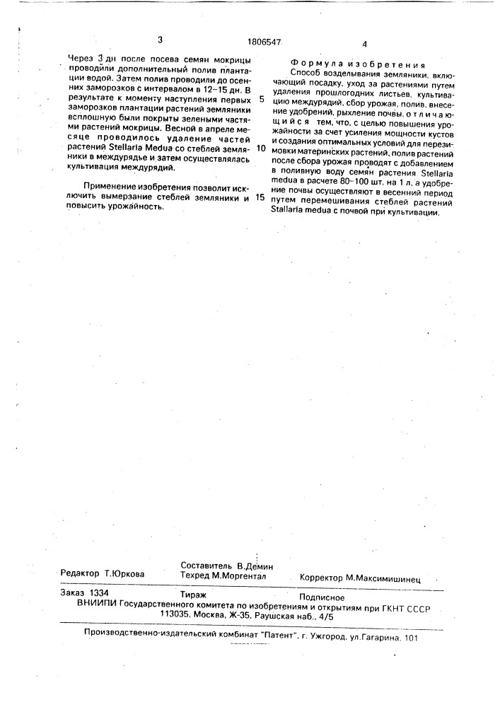 Способ возделывания земляники (патент 1806547)