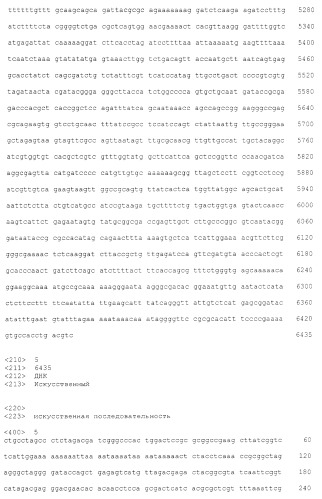 Человеческие антитела против человеческого 4-1вв (cd137) (патент 2376316)