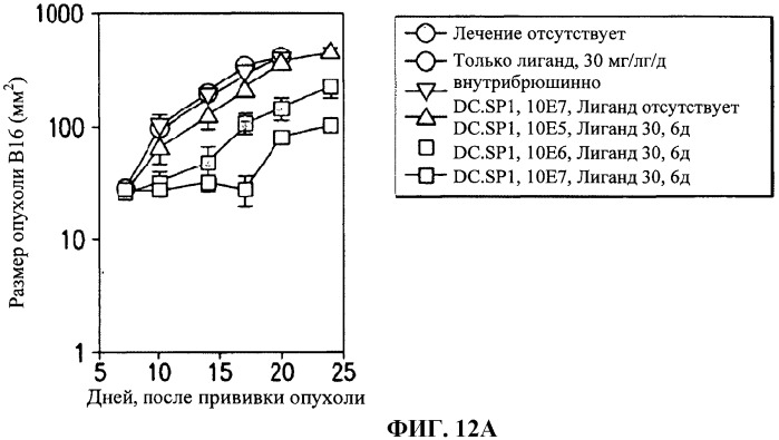 Модифицированные дендритные клетки и их применение в лечении злокачественных опухолей (патент 2484132)