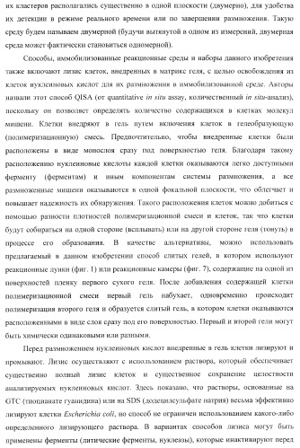 Бесконтактные способы обнаружения молекулярных колоний, наборы реагентов и устройство для их осуществления (патент 2394915)