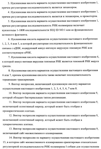 Способы и композиции для экспрессии антисмысловой вирусной рнк в клетках собаки (патент 2457250)