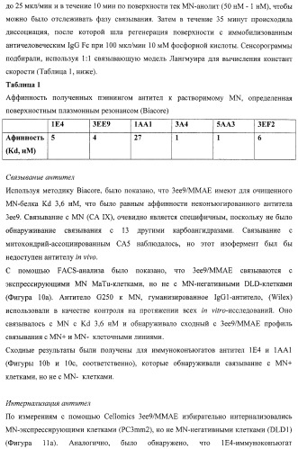 Анти-mn антитела и способы их применения (патент 2427590)