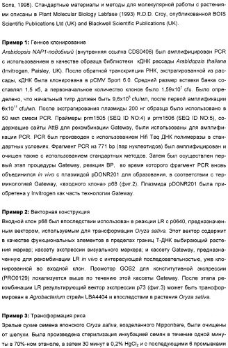 Способ повышения выхода семян растения, способ производства трансгенного растения, имеющего повышенную урожайность семян, генная конструкция для экспрессии в растении и трансгенное растение (патент 2409938)