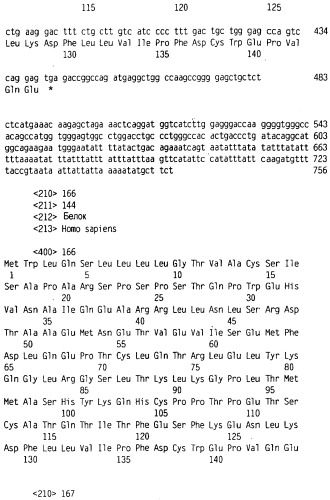 Новый лиганд рецептора цитокина zcytor17 (патент 2490276)