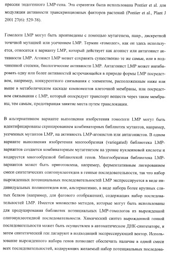 Молекулы нуклеиновых кислот, кодирующие wrinkled1-подобные полипептиды, и способы их применения в растениях (патент 2385347)