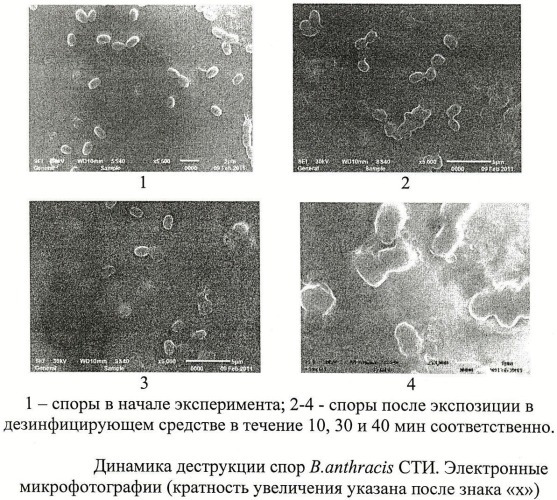 Дезинфицирующее средство (патент 2481126)