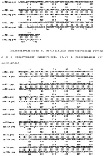 Вакцина везикул наружных мембран (omv), содержащая белки наружной мебраны n.meningitidis серологической группы в (патент 2279889)