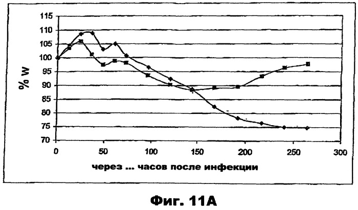 Применение соединений антивирусного класса для получения средства для лечения и профилактики вирусной инфекции дыхательного тракта (патент 2301669)