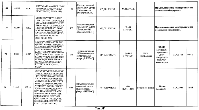 Бактериофаг, обладающий активностью против pseudomonas aeruginosa, белки бактериофага и способы их применения (патент 2580248)