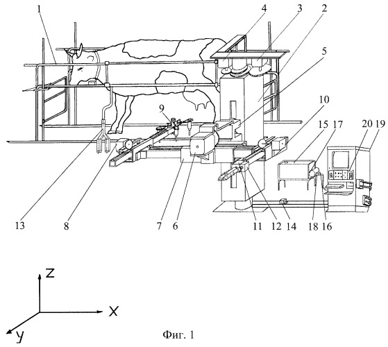 Автоматизированная доильная установка (патент 2244417)