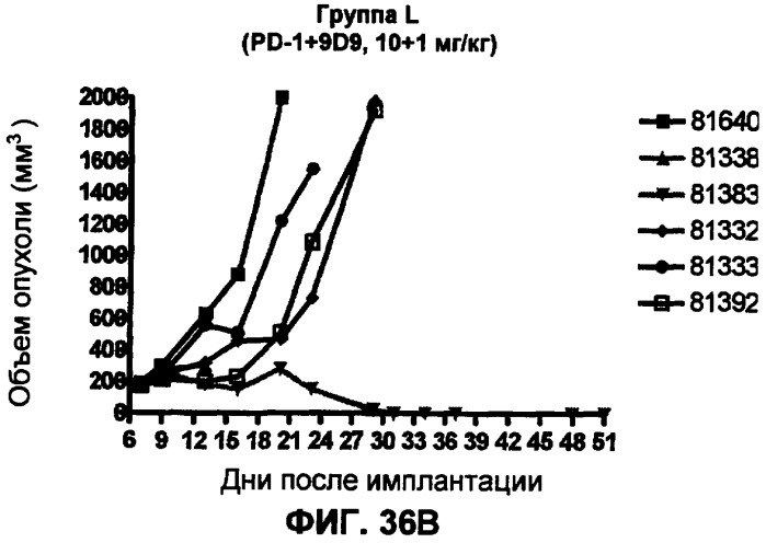 Моноклональные антитела человека к белку программируемой смерти 1 (pd-1) и способы лечения рака с использованием анти-pd-1-антител самостоятельно или в комбинации с другими иммунотерапевтическими средствами (патент 2406760)