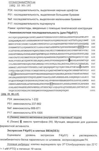 Вакцина для предупреждения и лечения вич-инфекции (патент 2441878)