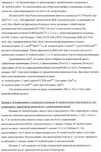 Способ придания бактерии, принадлежащей к роду methylophilus, ауксотрофности по l-аминокислоте, бактерия, принадлежащая к роду methylophilus, и способ продукции l-аминокислоты (патент 2395569)