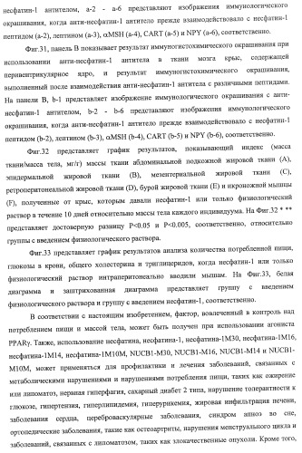 Способ получения фактора, связанного с контролем над потреблением пищи и/или массой тела, полипептид, обладающий активностью подавления потребления пищи и/или прибавления в весе, молекула нуклеиновой кислоты, кодирующая полипептид, способы и применение полипептида (патент 2418002)