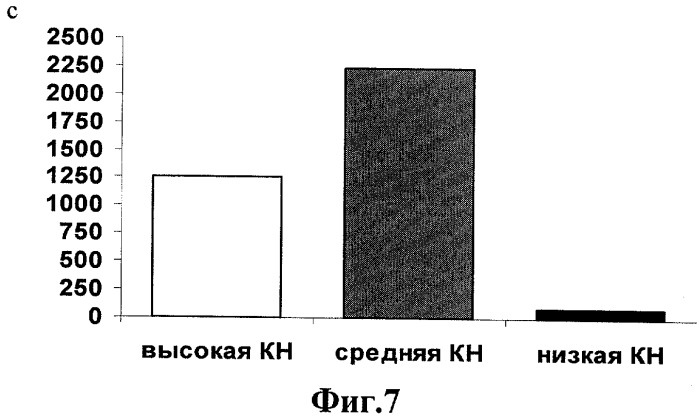 Способ оценки уровня внимания учащегося при компьютерном тестировании (патент 2341183)