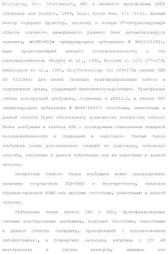 Слитые белки альбумина (патент 2369404)