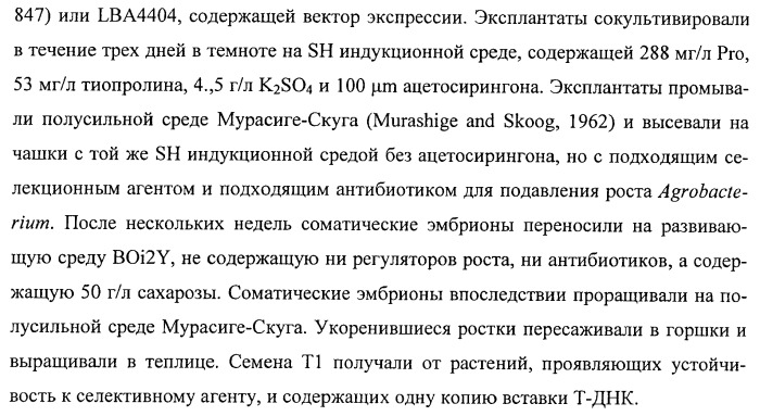 Растения, имеющие улучшенные характеристики роста, и способы их получения (патент 2463352)