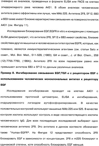 Человеческие моноклональные антитела к рецептору эпидермального фактора роста (egfr), способ их получения и их использование, гибридома, трансфектома, трансгенное животное, экспрессионный вектор (патент 2335507)