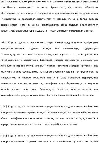 Специфические антитела человека для избирательной терапии рака (патент 2316564)