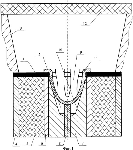 Устройство для нанесения покрытий электрическим взрывом фольги (варианты) (патент 2378414)
