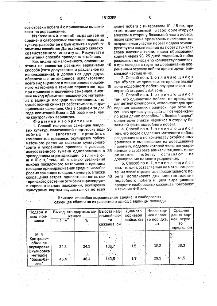 Способ получения саженцев плодовых культур (патент 1813355)