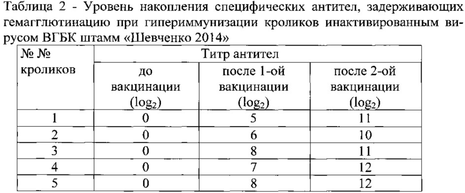 Штамм "шевченко-2014" вируса геморрагической болезни кроликов для изготовления вакцинных, диагностических и лечебных препаратов (патент 2631925)