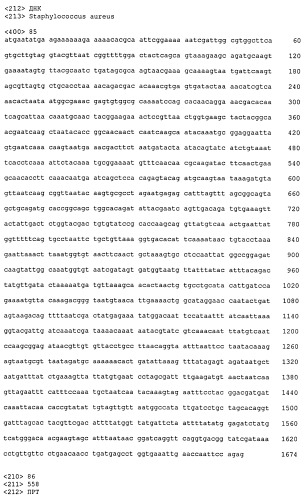 Иммуногенные композиции антигенов staphylococcus aureus (патент 2536981)