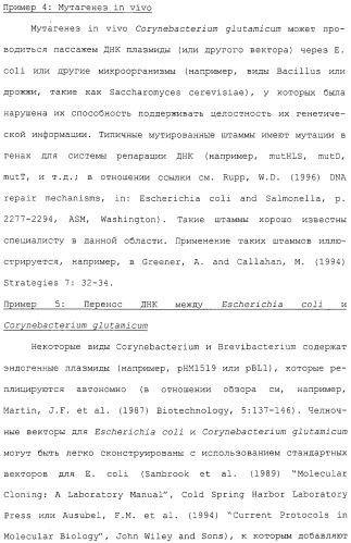 Гены corynebacterium glutamicum, кодирующие белки, участвующие в метаболизме углерода и продуцировании энергии (патент 2310686)