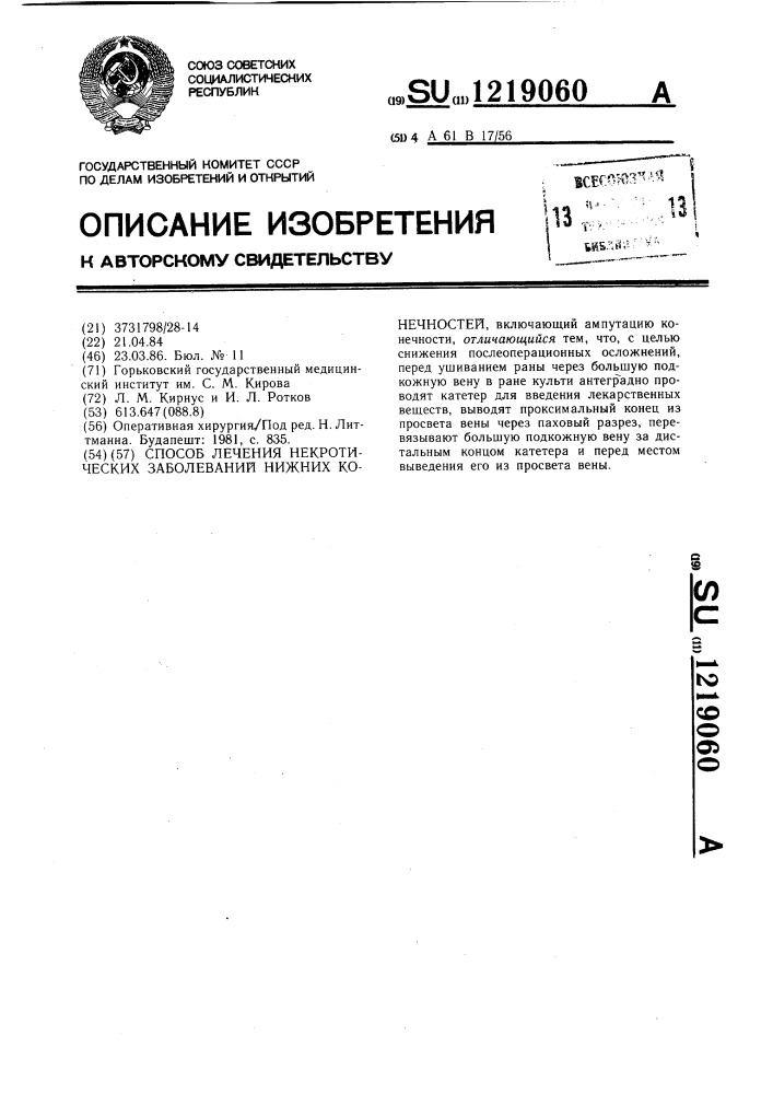 Способ лечения некротических заболеваний нижних конечностей (патент 1219060)