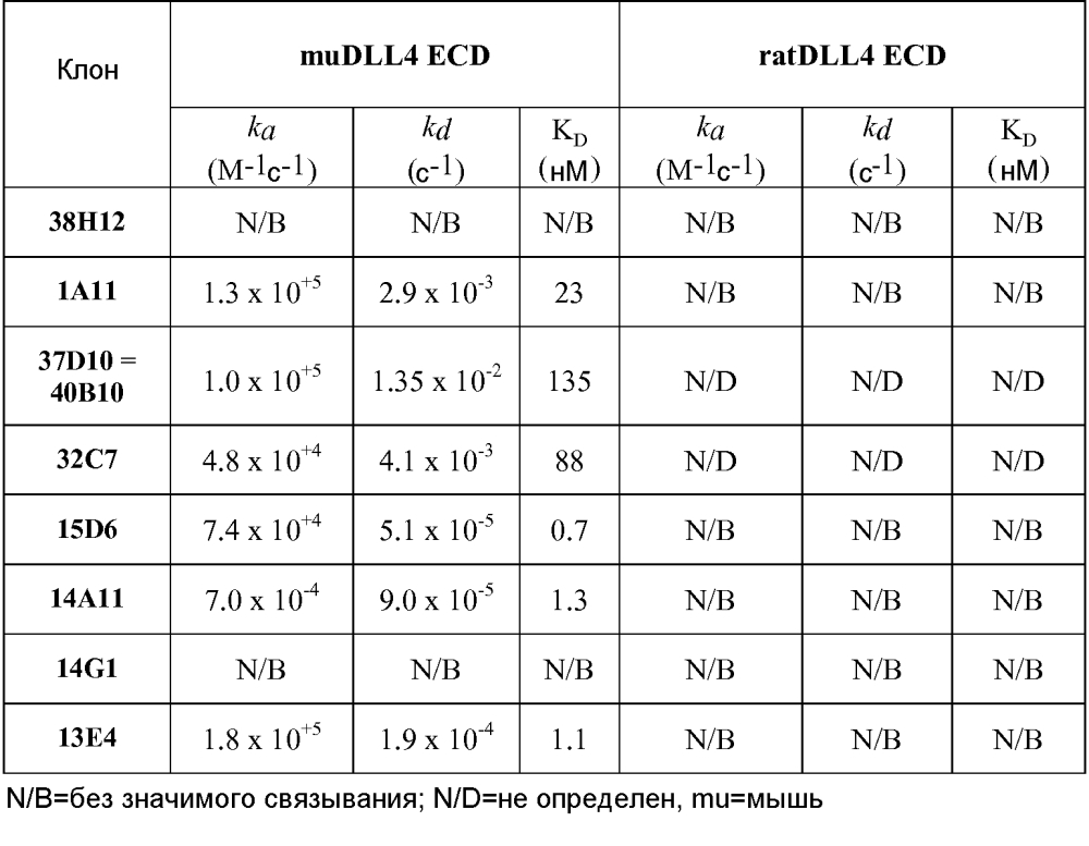 Терапевтические dll4-связывающие белки (патент 2605928)