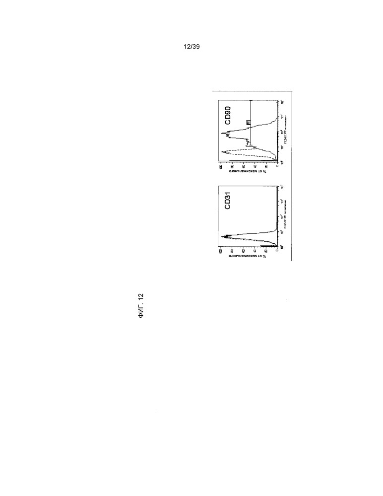 Клетки, производные от кардиальной ткани (патент 2662675)
