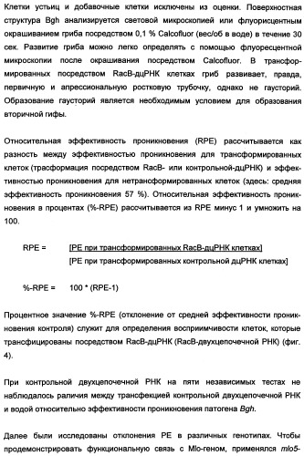 Новые последовательности нуклеиновых кислот и их применение в способах достижения устойчивости к патогенам в растениях (патент 2346985)