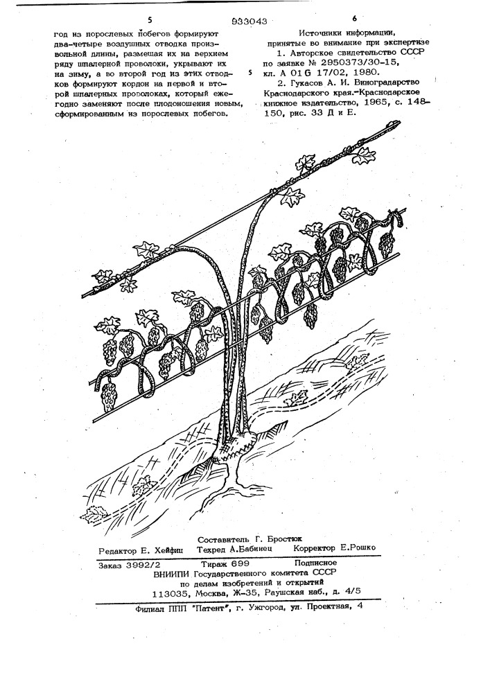 Способ ведения укрывной культуры винограда (патент 933043)