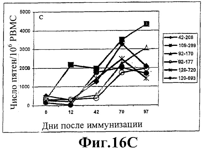 Человеческие антитела против человеческого 4-1вв (cd137) (патент 2376316)
