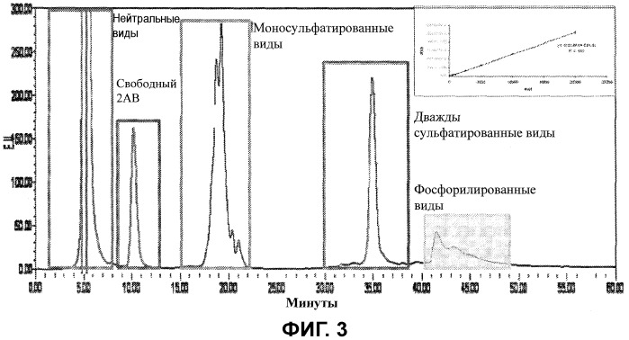 Способы, относящиеся к модифицированным гликанам (патент 2526250)