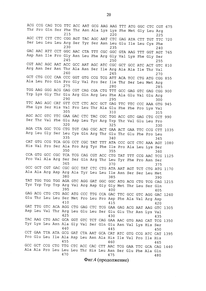 Рекомбинантный штамм бактерий escherichia coli n16 (pm.alubi) - продуцент днк-метилтрансферазы m.alubi (патент 2603086)