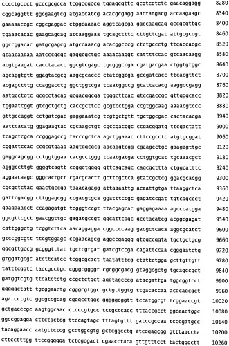 Рекомбинантная вакцина от птичьего гриппа и её применение (патент 2559527)