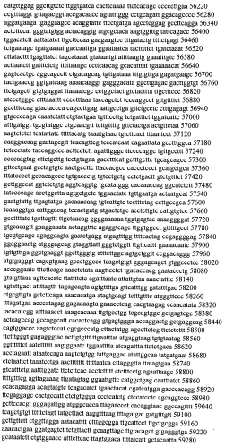 Модуляция экспрессии гентингтина (патент 2562861)