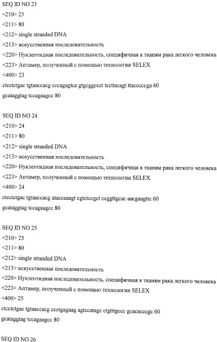 Аптамер, специфичный к опухолевым тканям легкого человека (патент 2528870)