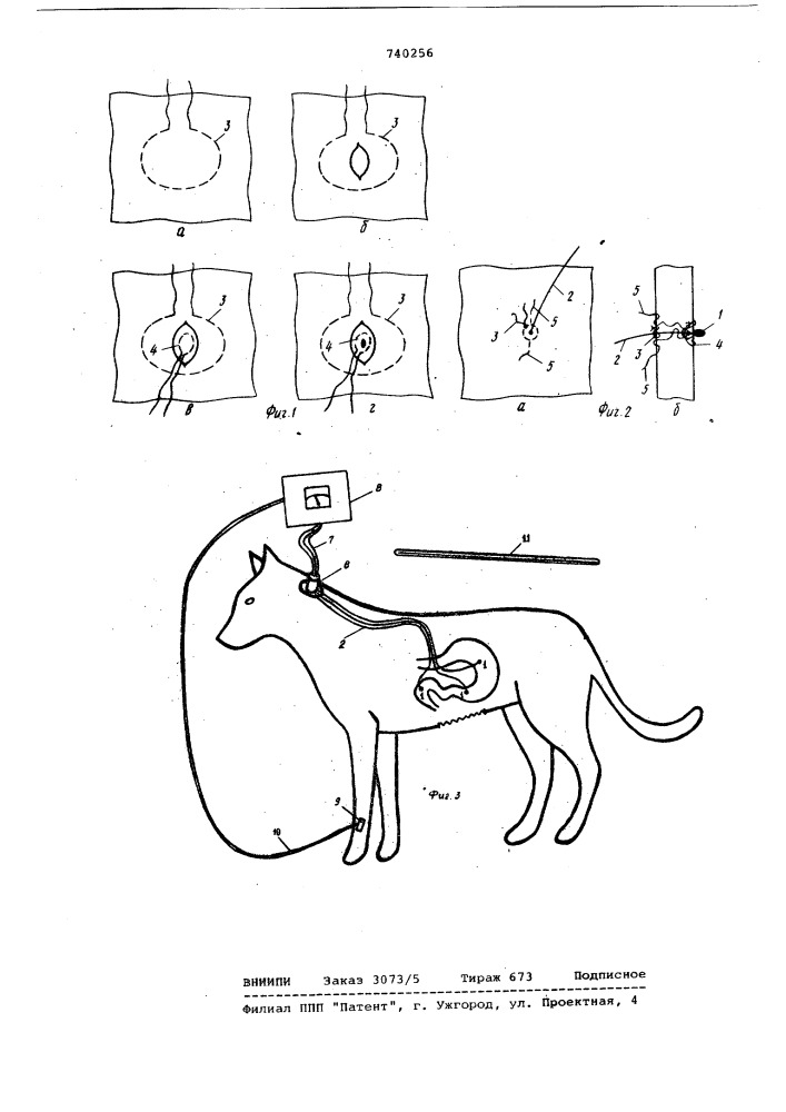 Способ установки датчика с проводом в исследуемом органе животного (патент 740256)