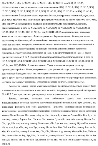 Бактерия семейства enterobacteriaceae - продуцент l-аспарагиновой кислоты или метаболитов, производных l-аспарагиновой кислоты, и способ получения l-аспарагиновой кислоты или метаблитов, производных l-аспарагиновой кислоты (патент 2472853)