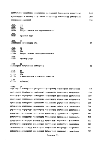 Микроорганизмы corynebacterium, способные утилизировать ксилозу, и способ получения l-лизина с применением таких микроорганизмов (патент 2584593)