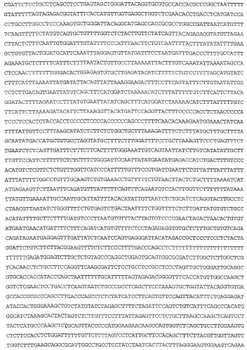 Применение s1p (патент 2362565)