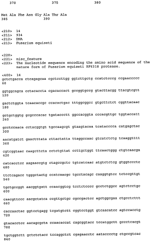Новая протеаза грибов и ее применение (патент 2566549)