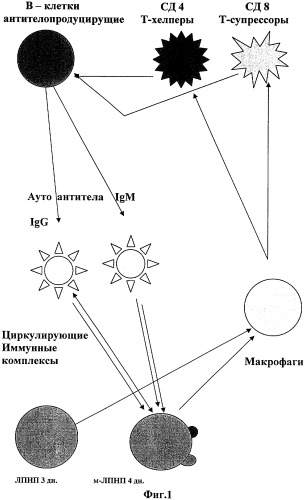 Способ лечения атеросклероза (патент 2311209)